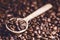 Spoon of coffee beans. Background. Energy. Raw coffee beans. Grained product. Hot drink. Close up. Harvesting. Natural