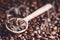 Spoon of coffee beans. Background. Energy. Raw coffee beans. Grained product. Hot drink. Close up. Harvesting. Natural