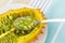 Spoon in half of orange kiwano cucumis metuliferus, horned melon on white saucer over a tablecloth. Fruits, vegetables,