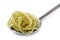 Spoon with Pasta