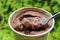 Spoon Scooping Melting Chocolate Ice Cream in the Summer Green Garden