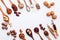 Spoon of various legumes and different kinds of nuts walnuts kernels ,hazelnuts, almond kernels,brown pinto ,red kidney beans and