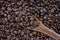 Spoonful of coffee beans on coffee bean heap