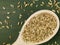 Spoonful of Dried Fennel Seed Cooking Spice