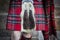 Sporran and kilt part of traditional Highland dress