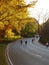 Sport activity in Central Park, New York, NY. Fall evening