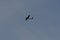 Sport Airplane in Sky passing by flight propeller aviation small