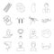 Sport, animal, medicine and other web icon in outline style. technology, services, army icons in set collection.