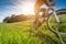 Sport bike, cycling in the beautiful meadow, detail photo