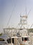 Sport fishing boats in a marina