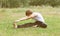 Sport, fitness, yoga - concept, man doing exercise