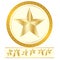 Sport golden star