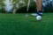 Sport Healthy. Golfer asian sporty woman focus putting golf ball on the green golf on evening time..