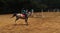 Sport horse riding : a child riding a horse  with steeple chase