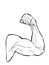 Sport man muscular strong arm illustration drawing line illustration