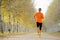 Sport man running outdoors in off road trail ground with trees under beautiful Autumn sunlight