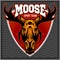 Sport Moose team logo.