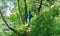 Sport orienteering in forest for kids. Boy traveler walks on a touristic hiking trail to a family tent camp on the shore of a fore