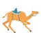 Sport race animal icon cartoon vector. Camel riding festival