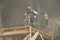 Sport race Mountain biker extreme and fun downhill track. Jumps and dirt splashes.