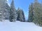 Sport-recreational snowy winter tracks for skiing and snowboarding in alpine swiss ski resorts