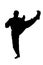 Sport Silhouette, Karate Kick.