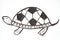 Sport soccer turtle