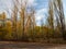 Sport stadium called Avangard in abandoned town Pripyat overgrown by trees and bushes. Chernobyl Exclusion Zone. Ukraine