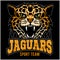 Sport team - Jaguar, wild cat Panther. Vector illustration, black background, shadow.