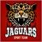 Sport team - Jaguar, wild cat Panther. Vector illustration, red background, shadow.