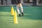 Sport training cones marker on soccer green grass pitch for children football training session