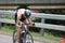 Sport triathlon cycling