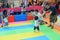 Sport, venue, sports, contact, child, folk, wrestling, indoor, games, and, striking, combat, leisure, play, fun, competition, indi