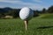 Sporting elegance white golf ball poised on wooden tee