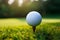 Sporting serenity Golf ball on tee, green grass closeup