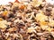 Sportive muesli background with black oats. for horse. macro