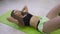 Sportive woman doing abs exercises to have flat belly, training in fitness club