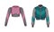 Sportive Zippered Track Jacket with Long Sleeves Vector Set