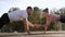 Sports active man and women train in the summer outdoors in a public stadium.