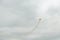 The sports airplane performs aerobatics figures in the sky