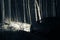 Sports car with high beam on in a winter pine forest at night, front and background blurred with bokeh effect