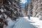 sports Cross-country skiing in the Snow Footprints in the woods