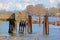 Sports Fisherman on Old Wooden Pier