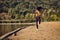 A sports girl runner runs along the shore of the lake jogging.
