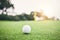 Sports, golf ball and practice on lawn of course for competition match, tournament and training. Target, challenge and