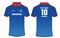 Sports IPL Cricket t-shirt jersey design template with polo collar for Delhi capitals