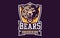 Sports logo with bear mascot. Colorful sport emblem with bear, grizzly mascot and bold font on shield background. Logo