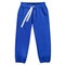 Sports pants of beautiful blue color