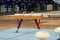 Sports Pommel horse. Empty gymnastics apparatus