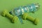 Sports regime equipment. Dumbbells in green color and water bottle